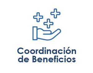 coordinacion