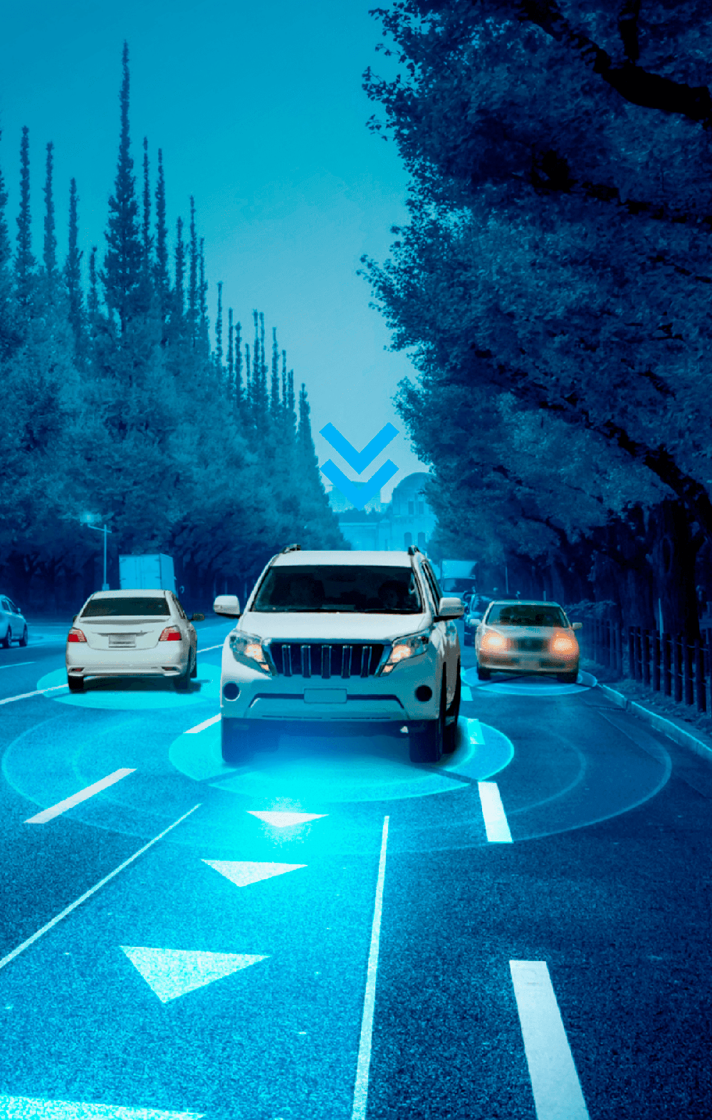 Carretera nocturna con vehículos