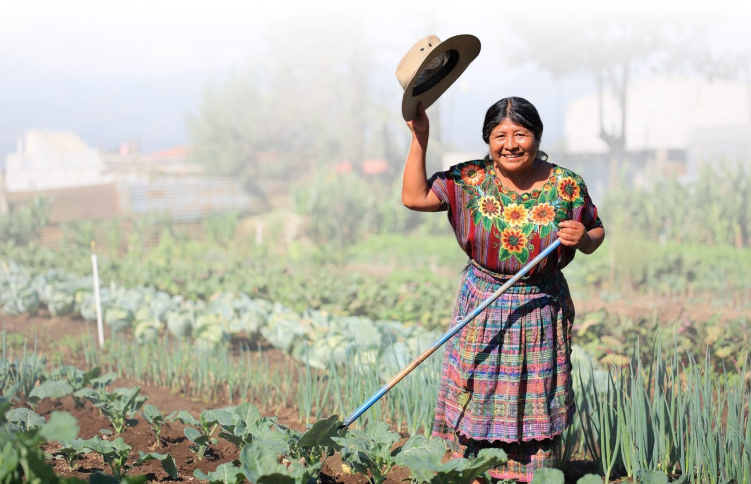 Imagen decorativa de campo agrícola